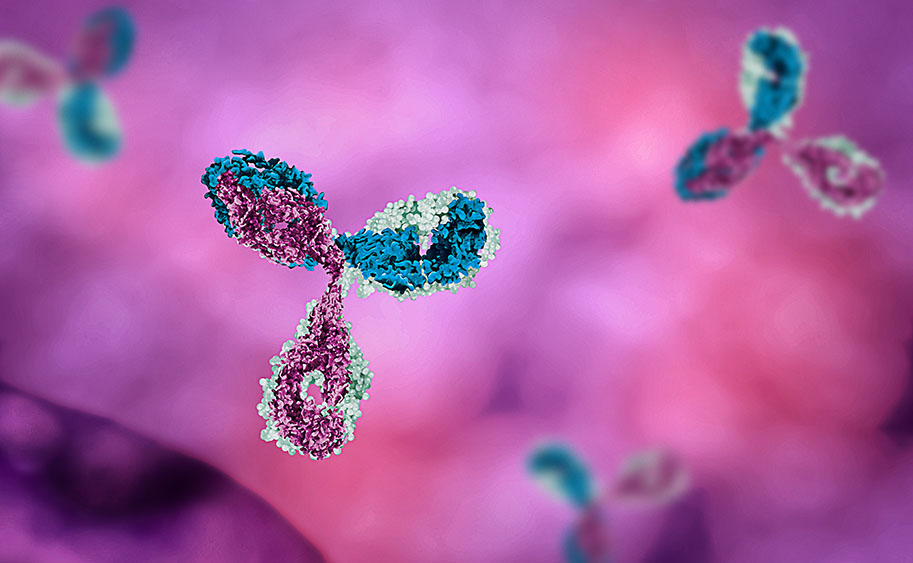 Antibodies-image